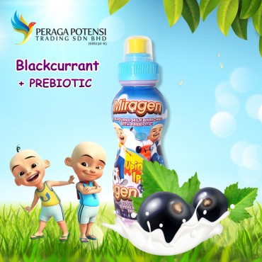 MIRAGEN UPIN IPIN FLAVOURED MILK DRINKS 250ML - BLACKCURRANT